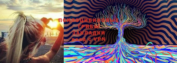 стафф Алексин