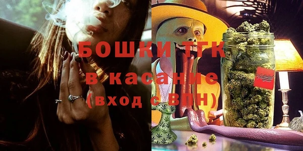 стафф Алексин