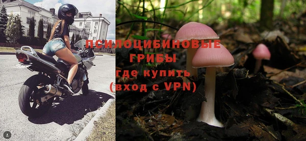 гашик Новозыбков