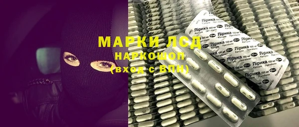 гидра Новодвинск