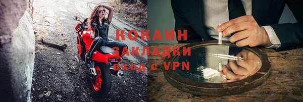 стафф Алексин