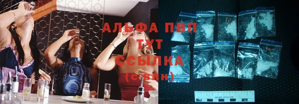 стафф Алзамай