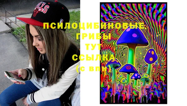 первитин Алексеевка