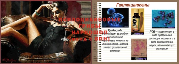 стафф Алексин