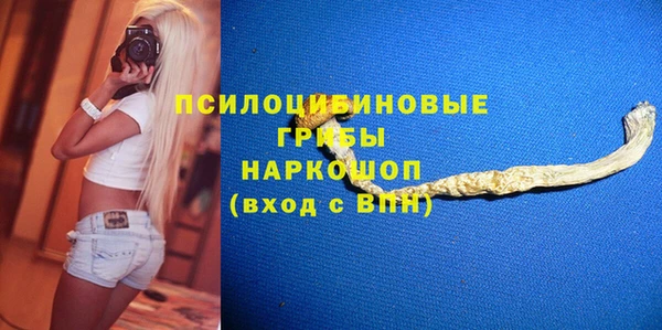 стафф Алексин
