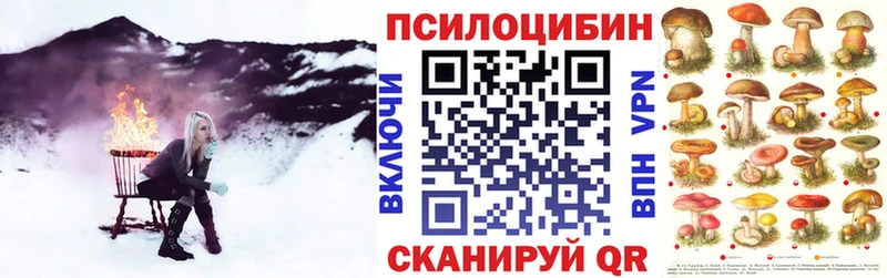 Галлюциногенные грибы мицелий  купить закладку  Грязовец 